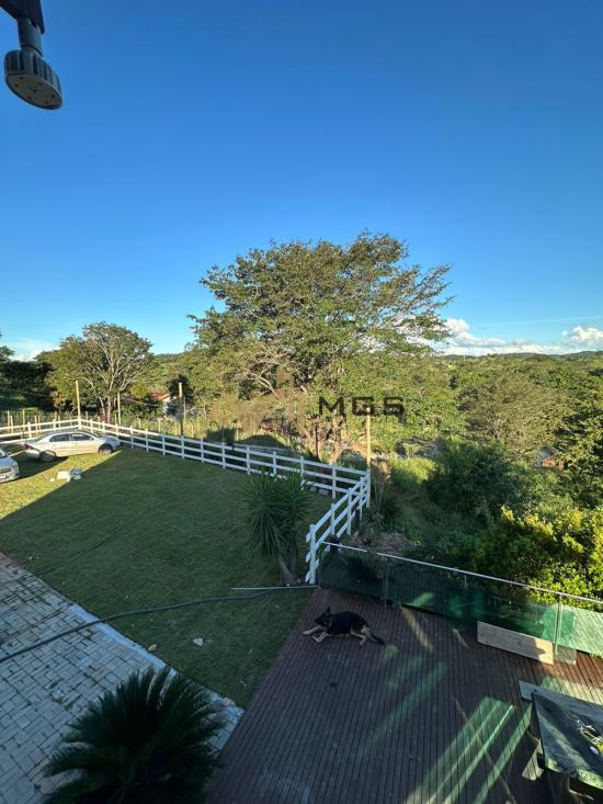 fazenda-venda-area-rural-florestal-889469