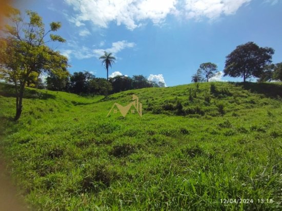 chacara-venda-ponte-da-almorreimas-brumadinho-851956