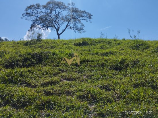 chacara-venda-ponte-da-almorreimas-brumadinho-851957